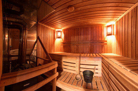 Preview sauna wellland 4