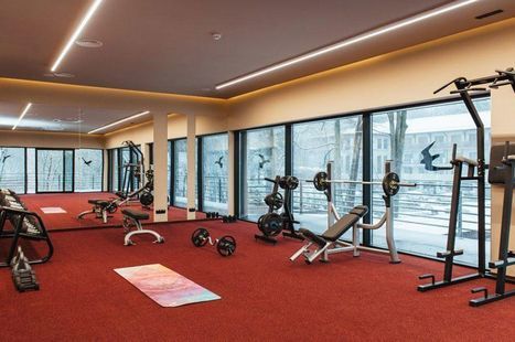 Preview gym steel 1 1024x681