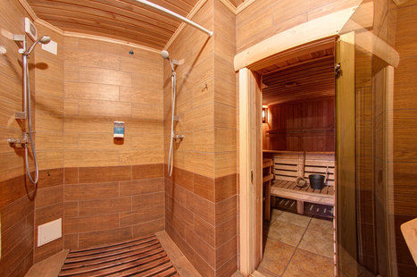 Preview sauna wellland 3