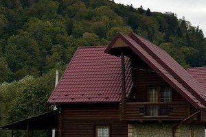 Thumb img 4119